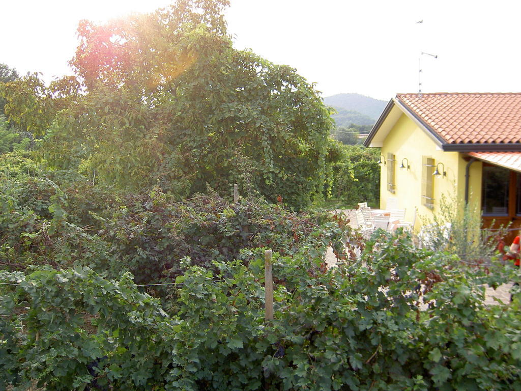 Agriturismo Monteortone Abano Terme Eksteriør bilde